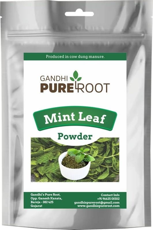 GANDHI PURE ROOT Natural Mint Leaf Powder (100g