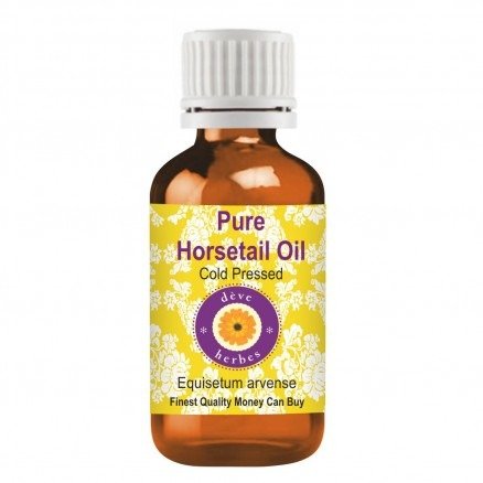 Pure Horsetail Oil (Equisetum arvense) 100% Natural Therapeutic Grade Cold Pressed