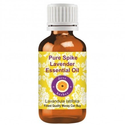 Pure Spike Lavender Essential Oil