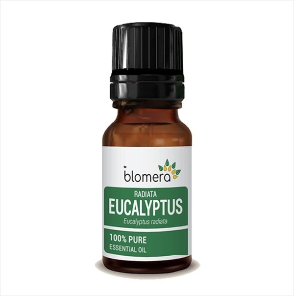 Eucalyptus Globulus Essential Oil 30ml