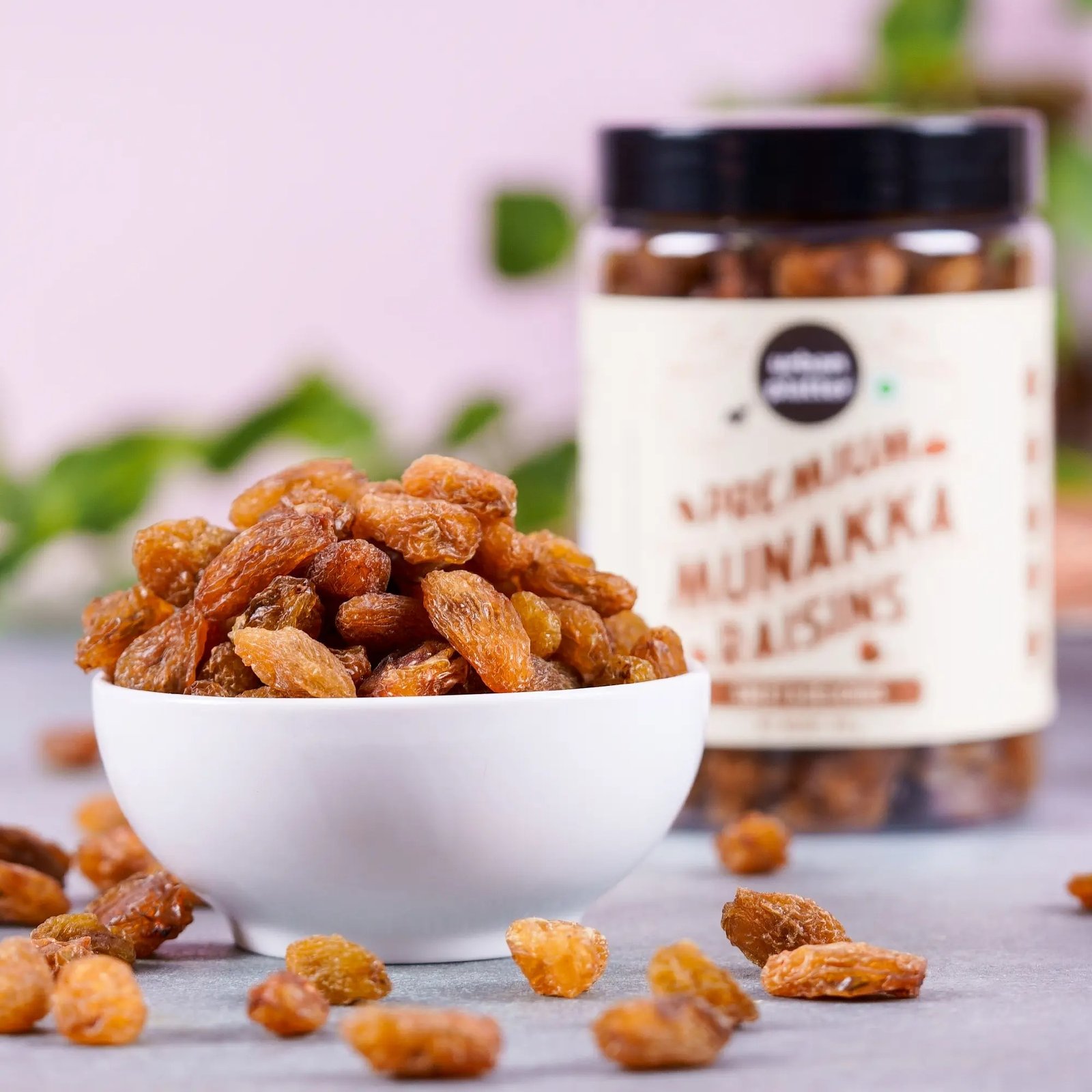 Urban Platter Premium Munakka Raisins, 250g