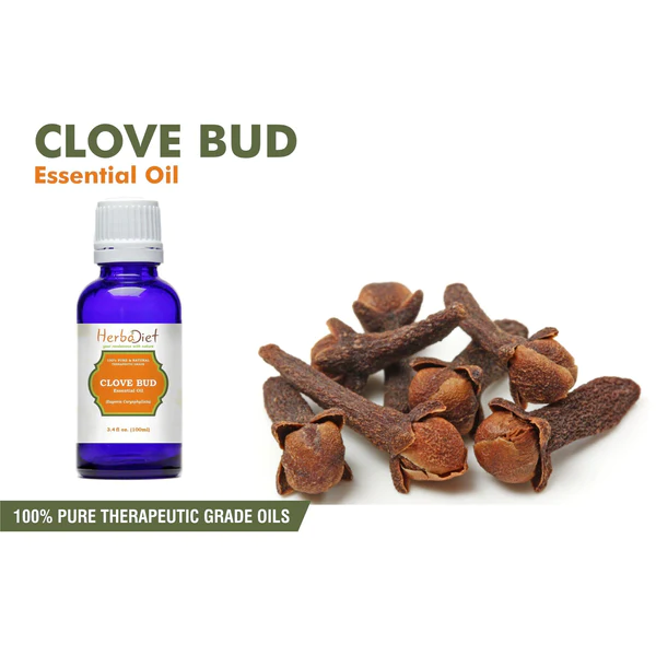 Clove Bud Essential Oil 30ml