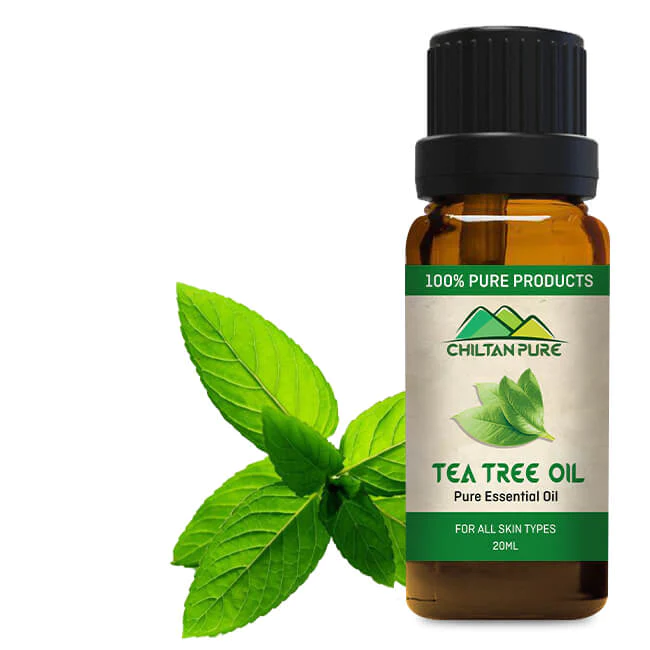 Tea Tree Oil – Best For Acne Treatment 30ml