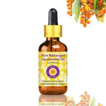 Pure Malkangani (Malkangani / Jyotishmati) Oil