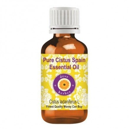 Pure Cistus Spain Essential Oil (Cistus ladaniferus L) 100% Natural Therapeutic Grade Steam Distilled