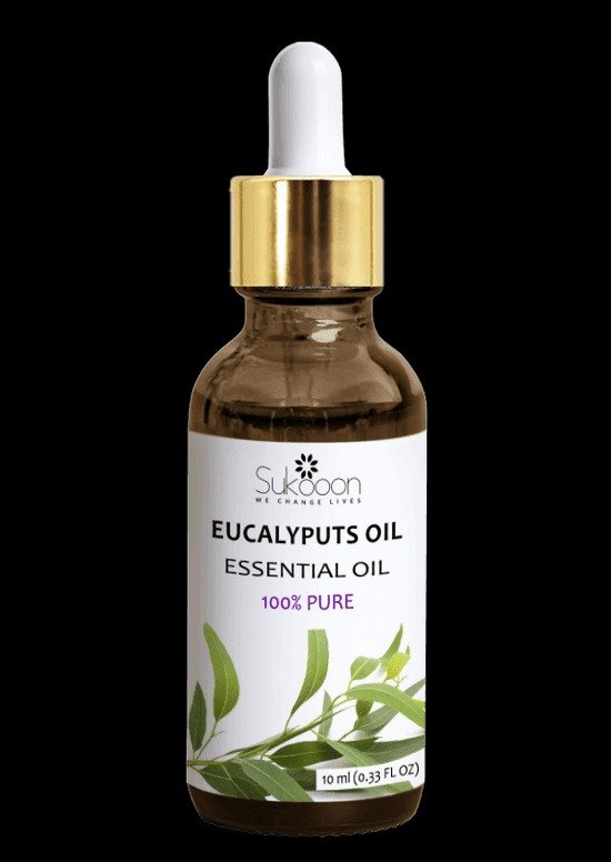 EUCLYPTUS | Essential Oil - 30ml