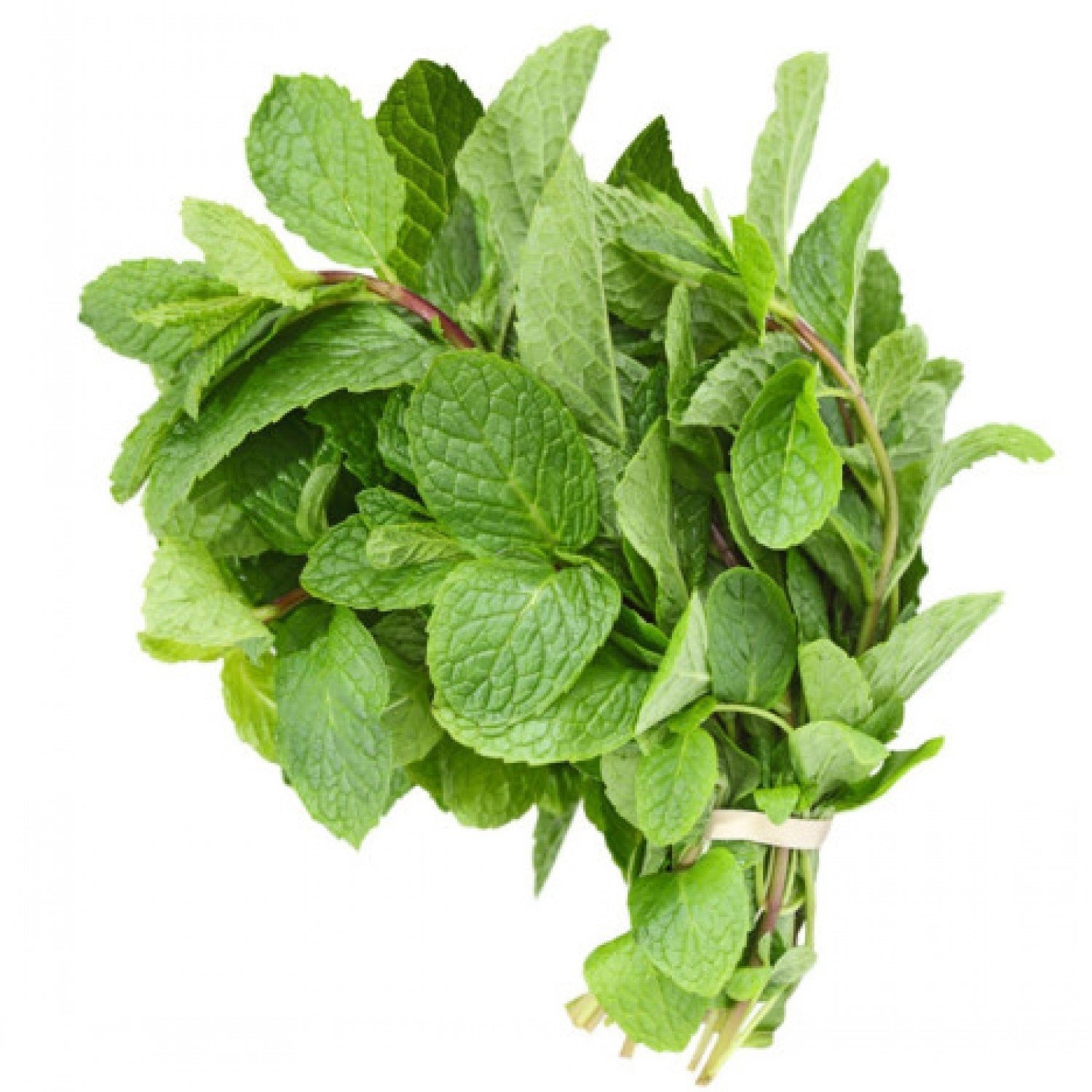 Mint Leaves 100g