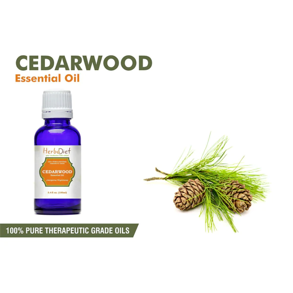 Cedarwood Essential Oil 30ml