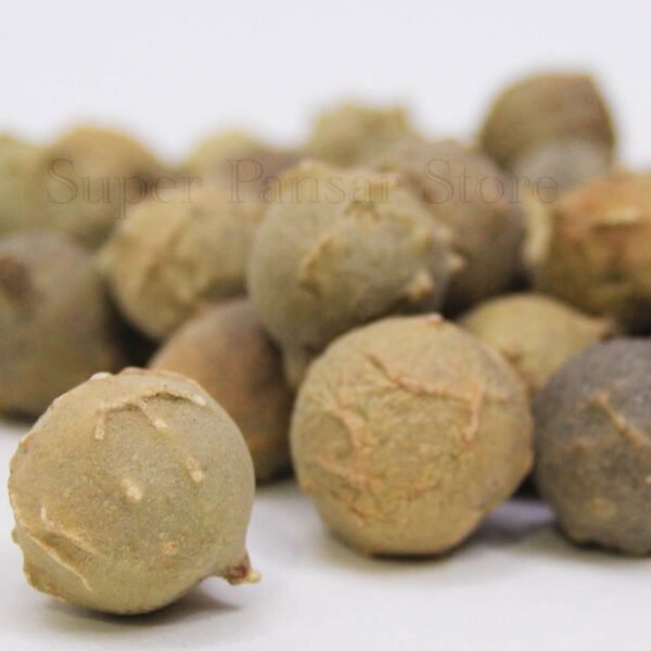 Aleppo Oak (Mazoo/Mazu) 100g