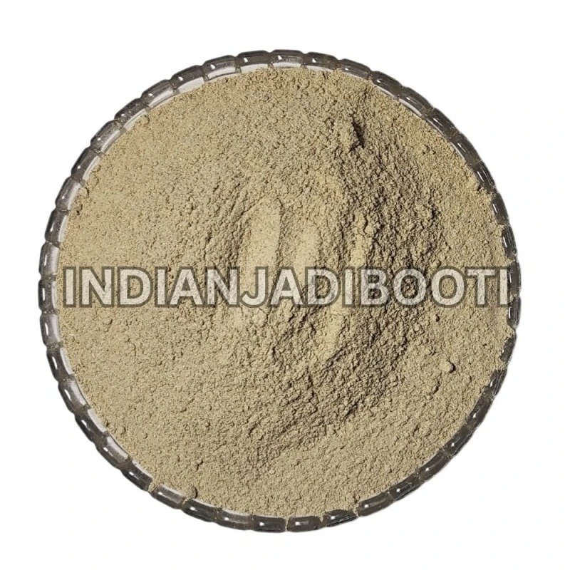 Angelica Roots (Powder) 100g