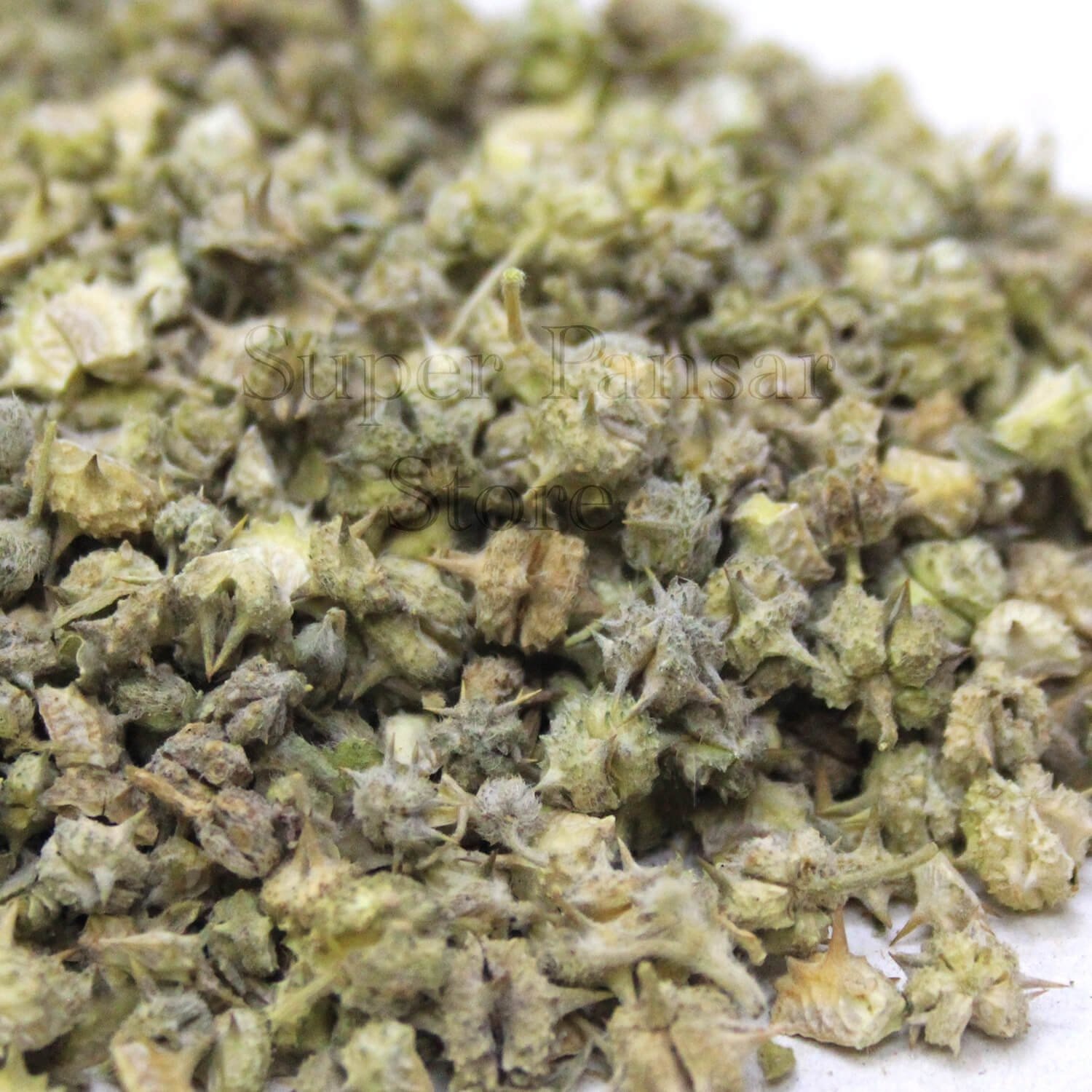 Tribulus Terrestris 100g