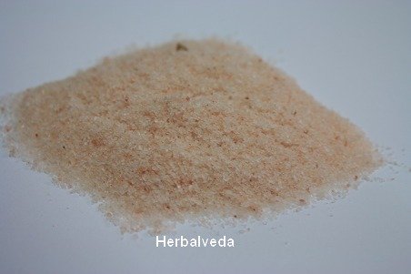 Garlic Salt powder 250g