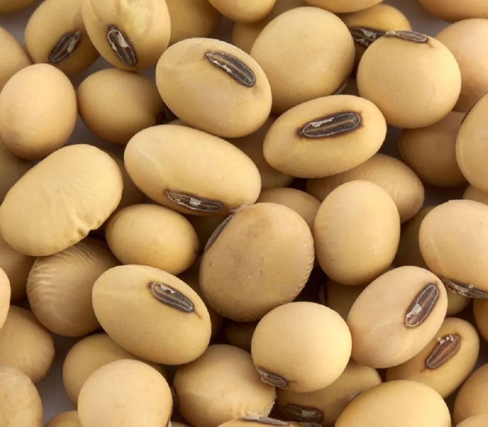 SOYA BEAN (WHITE LOBIA )500 gram