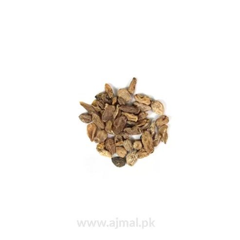 Salab Misri 10g