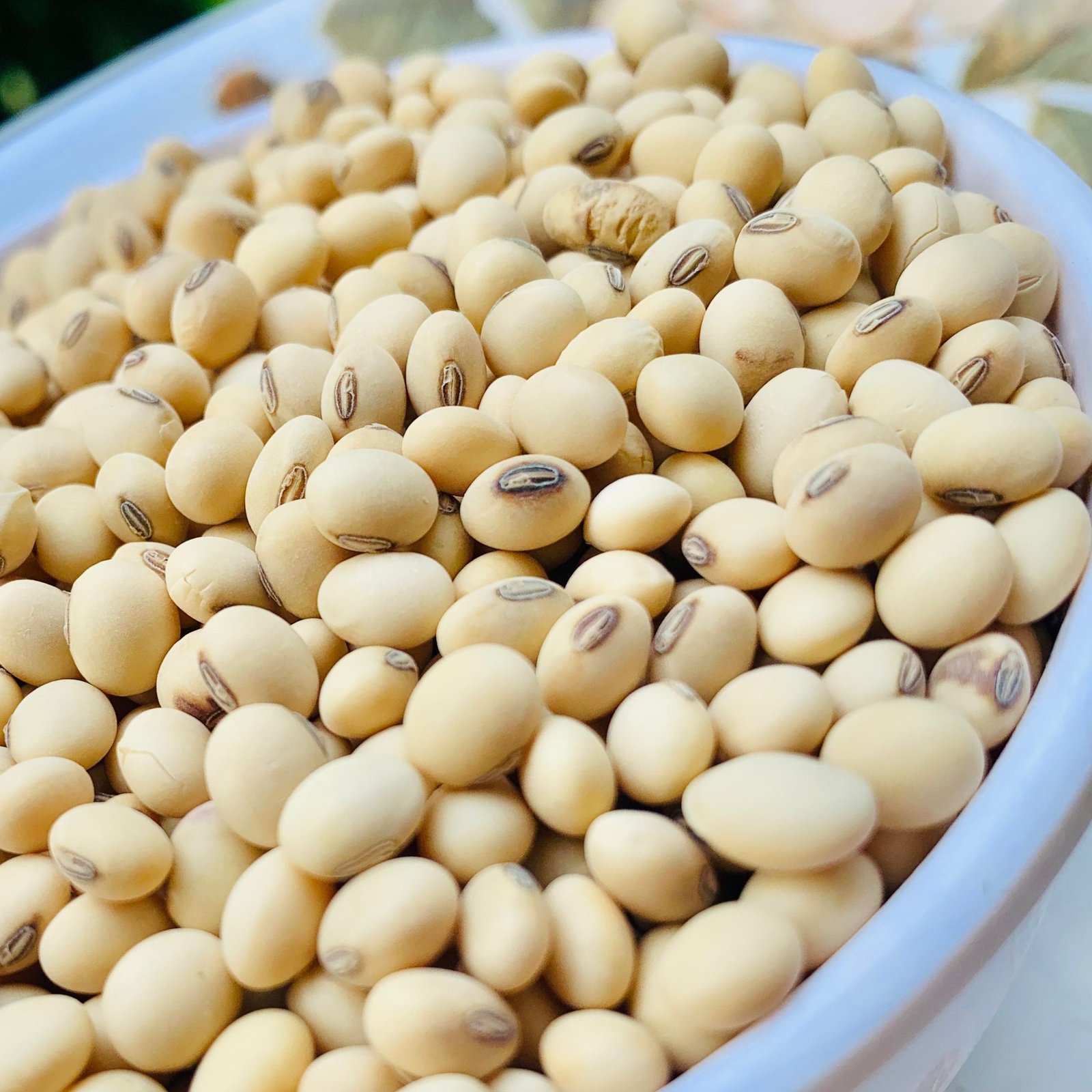 Soybeans 500g