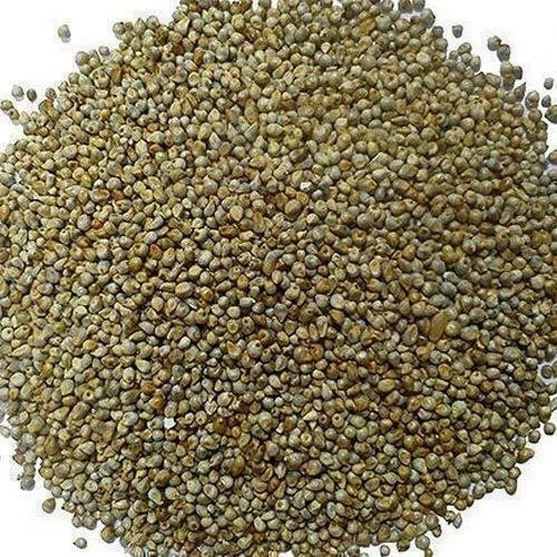 Organic Bajra Grain 500g