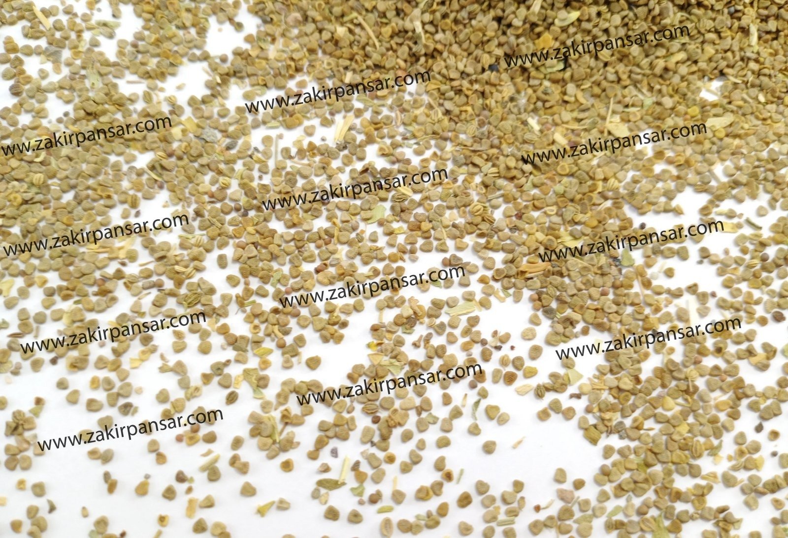 Ajwain Khurasani