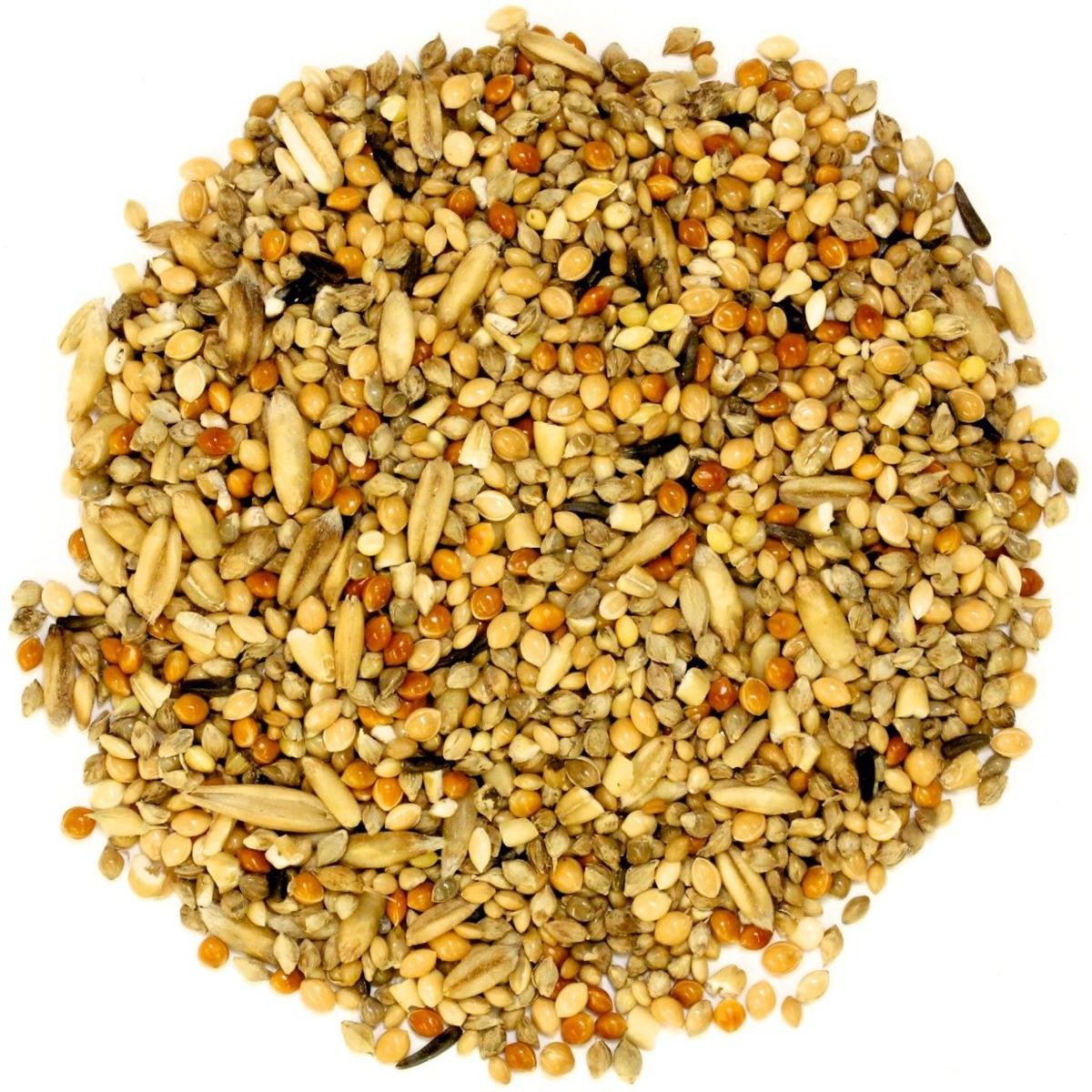 (pack of 1kg gram) Mix bird food feed seed for Hens & pigeon | kabotar or murgi ka dana | murzi ka bajra | 09 important ingredient