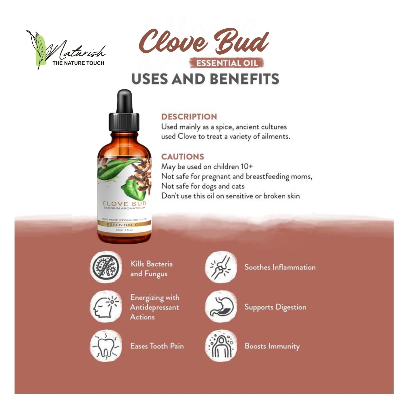 Clove Bud Oil – Natural Essential Oil for Aromatherapy and Wellness