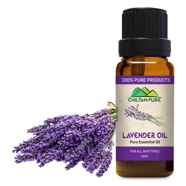 Lavender Essential Oil Essential Oil Essential Oil Essential Oil Essential Oil Essential Oil Essential Oil