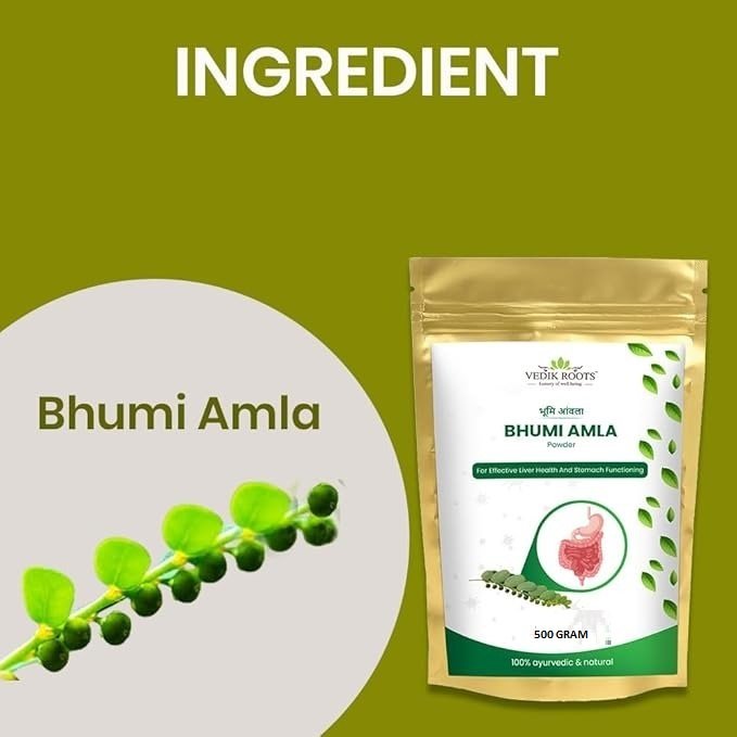 Bhumi Amla Powder/Churn - Organic And Pure Ingredient Extract For Healthy Liver Functioning And Digestive Strength | Enriched With Essential Nutrients 500g