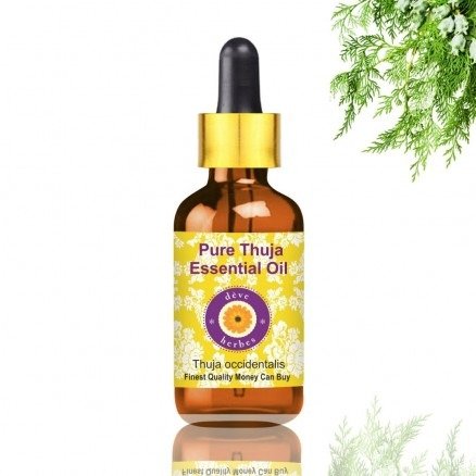 Pure Thuja Essential Oil