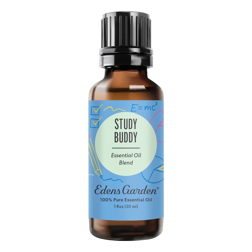 Study Buddy Essential Oil Blend- For Focus, Mind Calming & Concentration