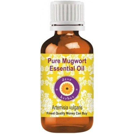 Pure Mugwort Essential Oil (Artemisia vulgaris) 100% Natural Therapeutic Grade Steam Distilled