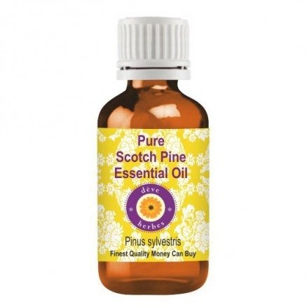 VPure Scotch Pine Essential Oil (Pinus sylvestris) 100% Natural Therapeutic Grade Steam Distilled