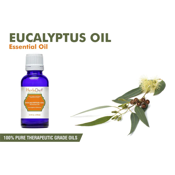 Eucalyptus Essential Oil 30ml