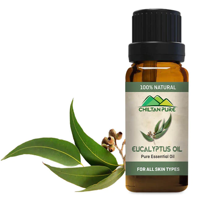 Eucalyptus Essential Oil – Anti-Bacterial Formula & Treats Acne