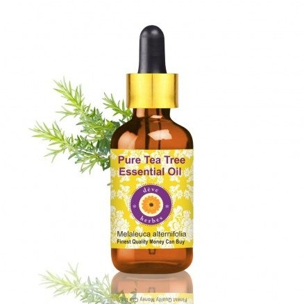 Pure Tea Tree Essential Oil