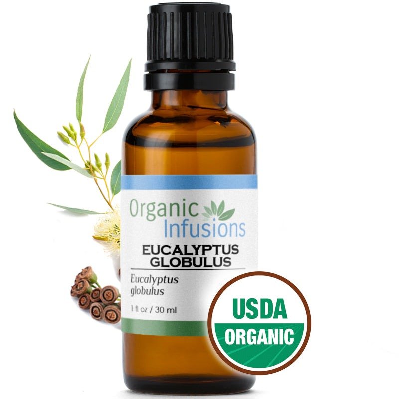 EUCALYPTUS GLOBULU 30ml