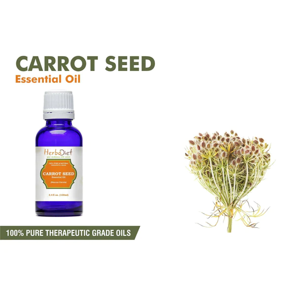 Carrot Seed Essential Oil 30ml