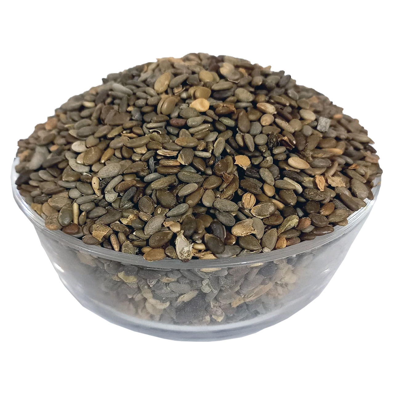 Bitterapple Seeds (Tukhm e Tumha)