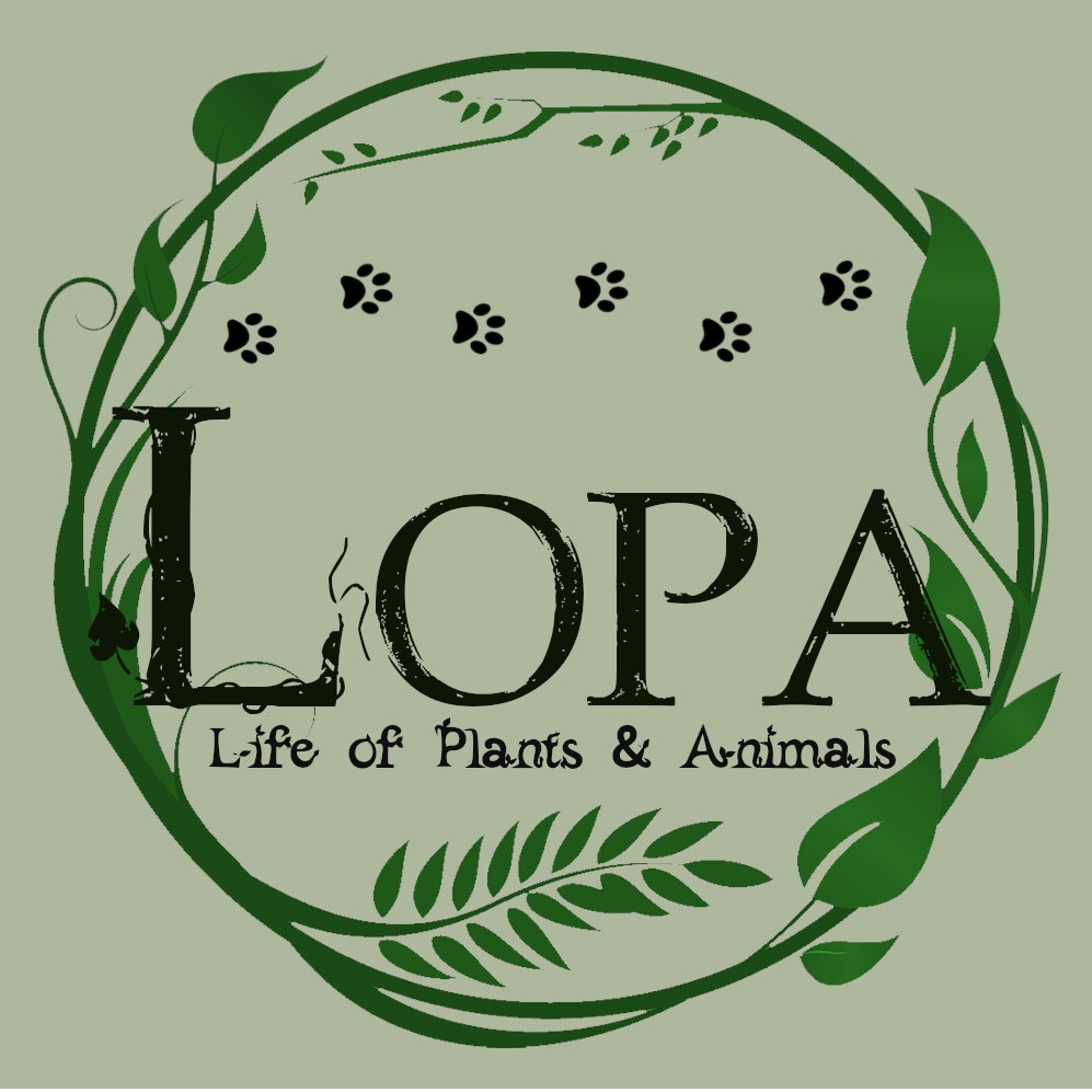 LOPA  - Life of Plants & Animals 1.12