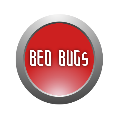 Bed Bugs