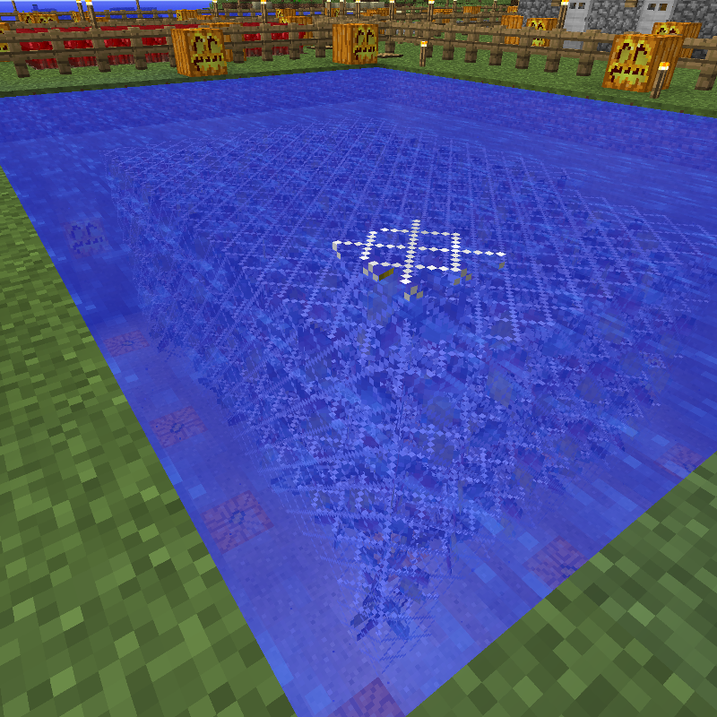 Giacomo's Fishing Net