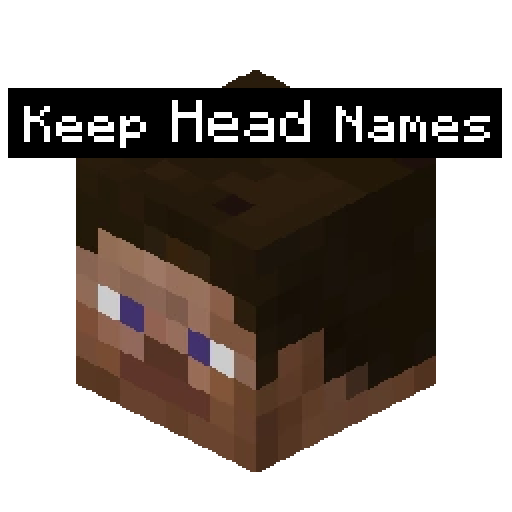 Keep Head Names (Fabric/Forge)