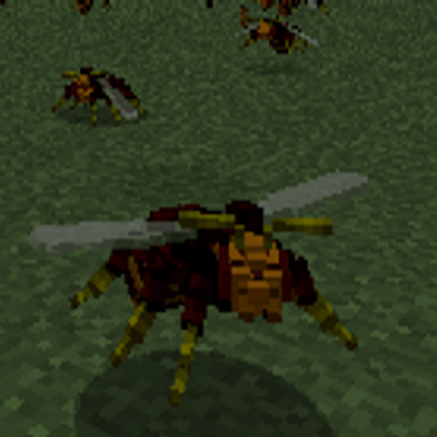 Hornets