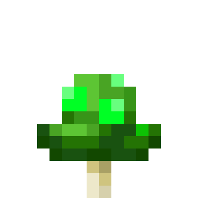 Magic Fungi