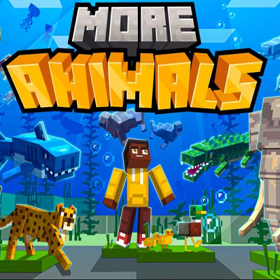 Life Full Of The Animals