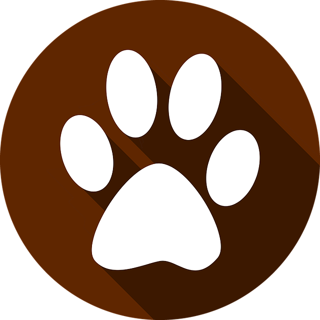 Animal Realm