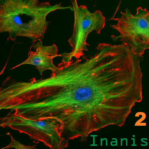 Inanis 2