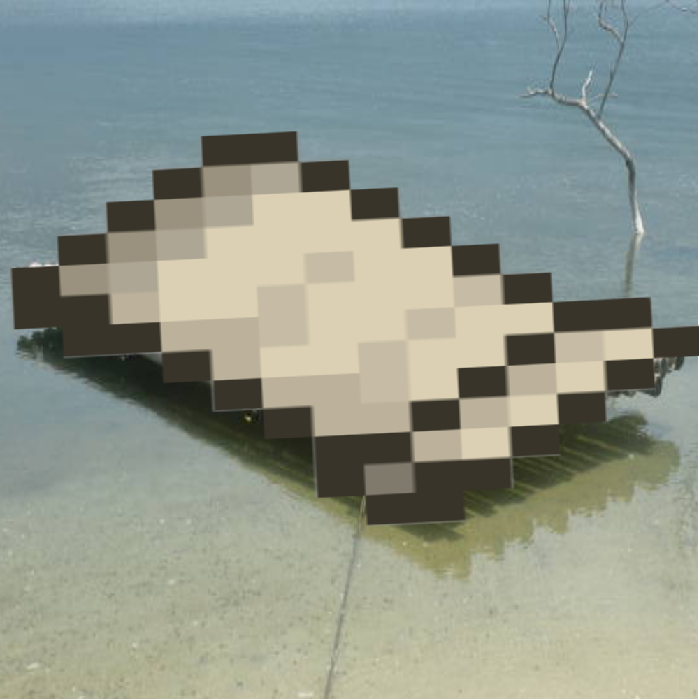 Raft made of silk