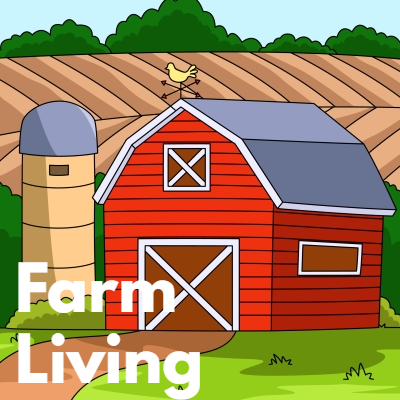 Medieval Farm Life