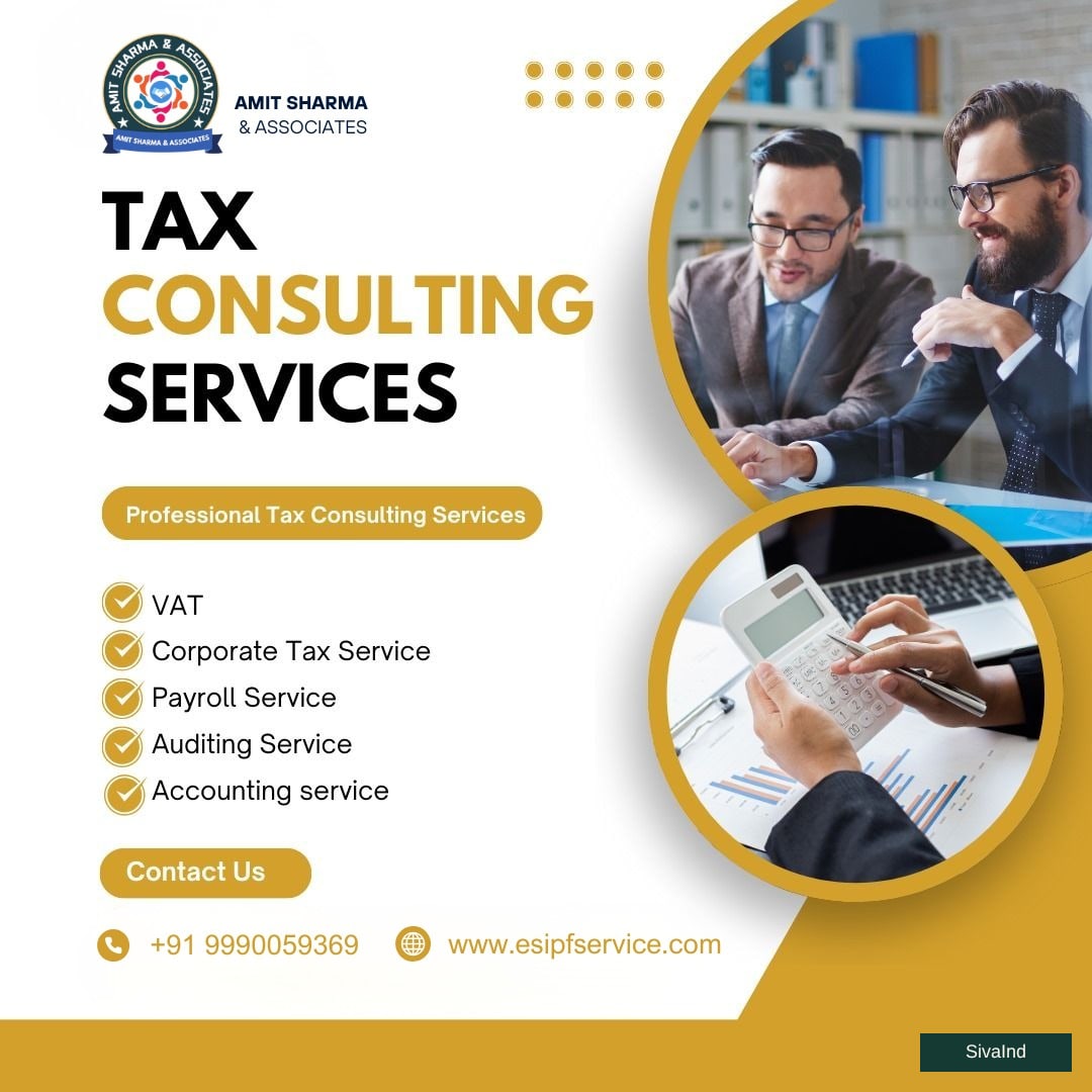 Professional Tax Consulting Services in India | GST, Payroll & Auditing Experts
