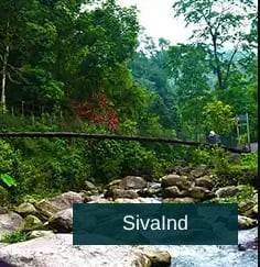Dooars Tour Packages from Kolkata: A Perfect Blend of Wildlife, Forests, and Tea Gardens