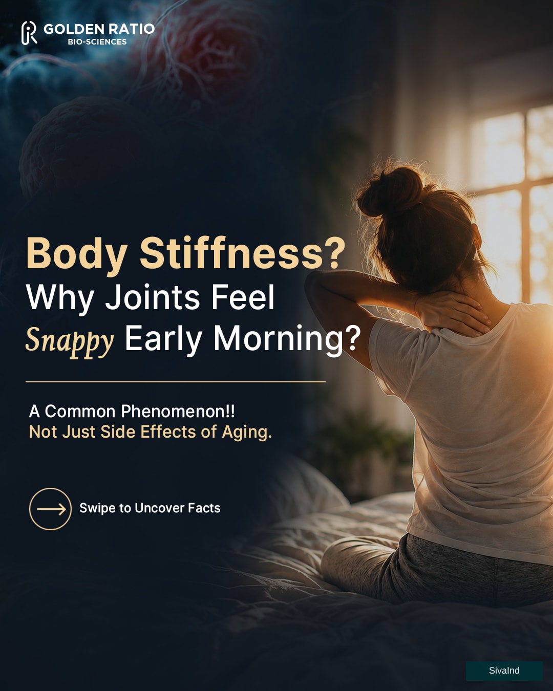 Plant Based Supplements | Nutraceutical Products