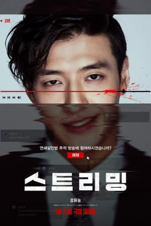 스트리밍